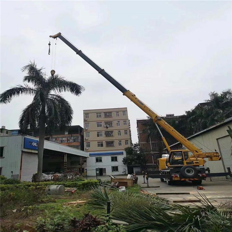 枣庄汽车吊出租多少钱？全面解析与市场行情